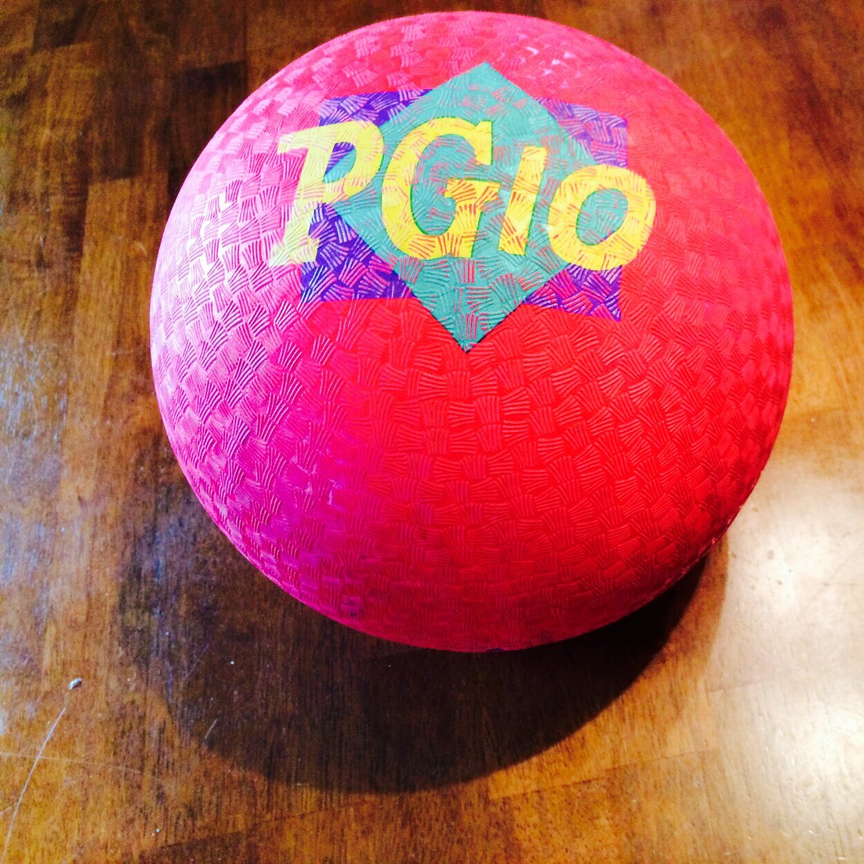 worldrecordAHS's profile picture. Going for the longest 4 square game world record! AHS.. Get on the badwagon folks