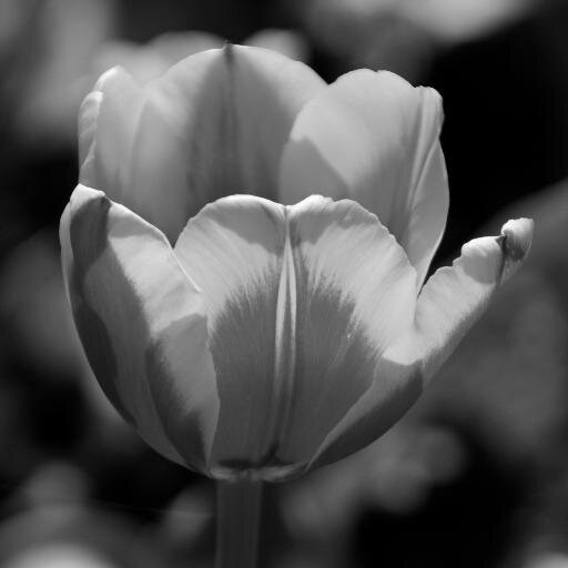 psully30's profile picture. 