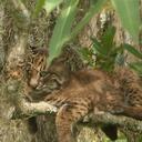 Fraser Rowe - @Frowe - Twitter