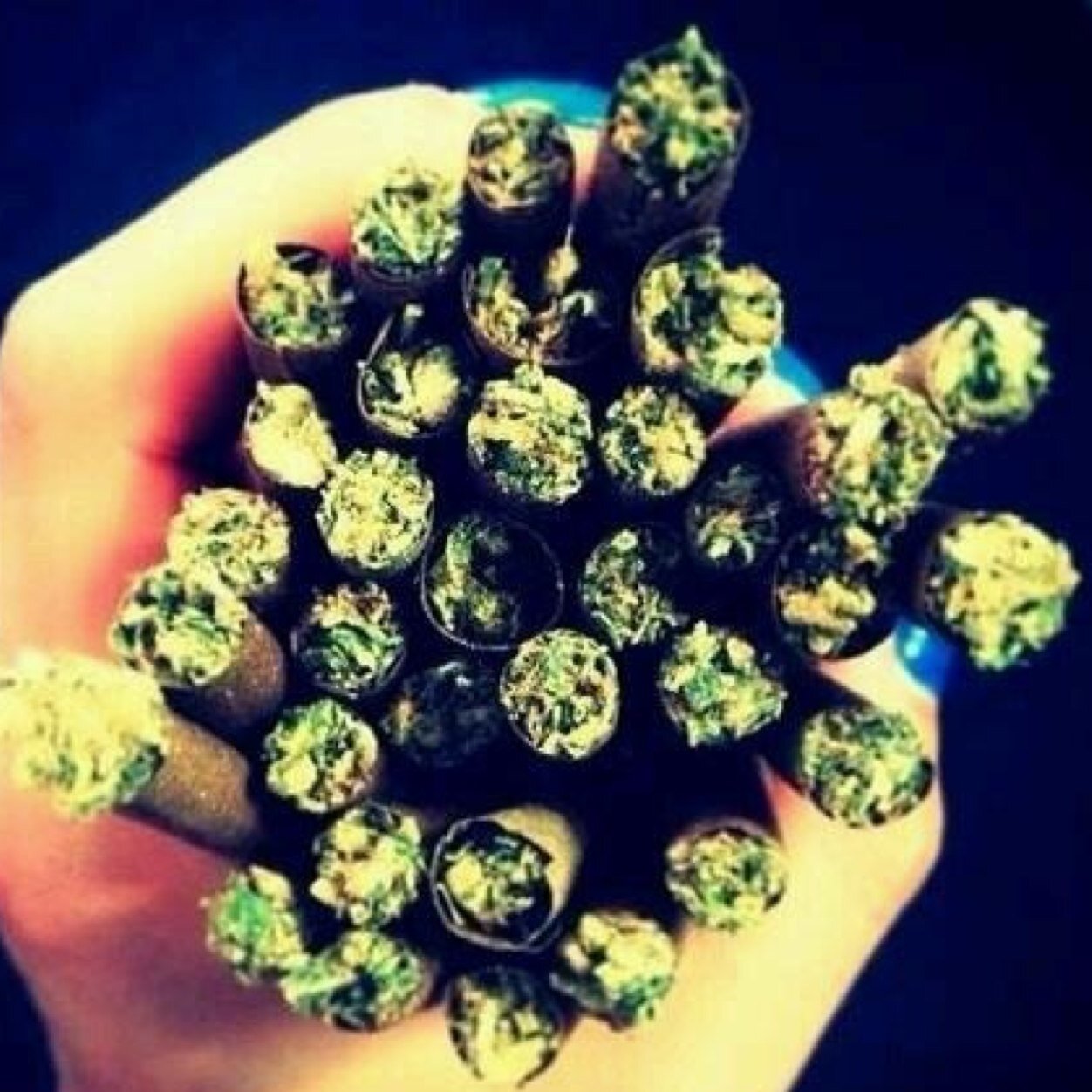 Spreading the news of one of the greatest things EVER put on this Earth; Marijuana. Even if you dont smoke follow for knowledge and a good laugh. Follow4Follow