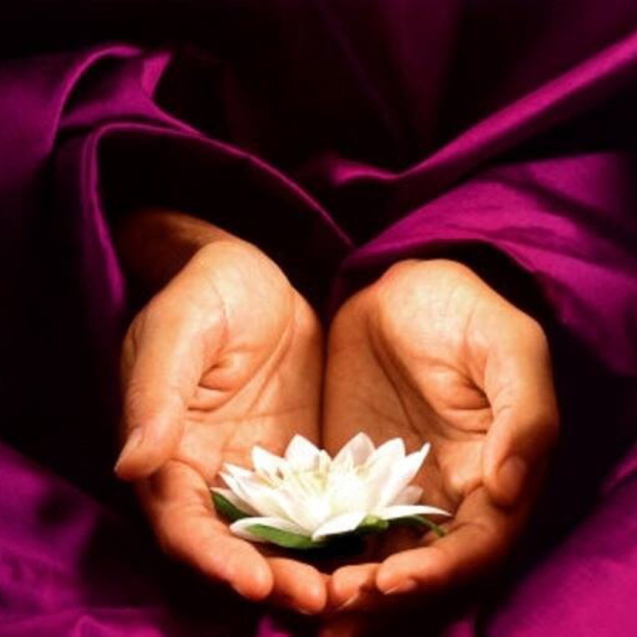 free reiki healing freereikihealin twitter