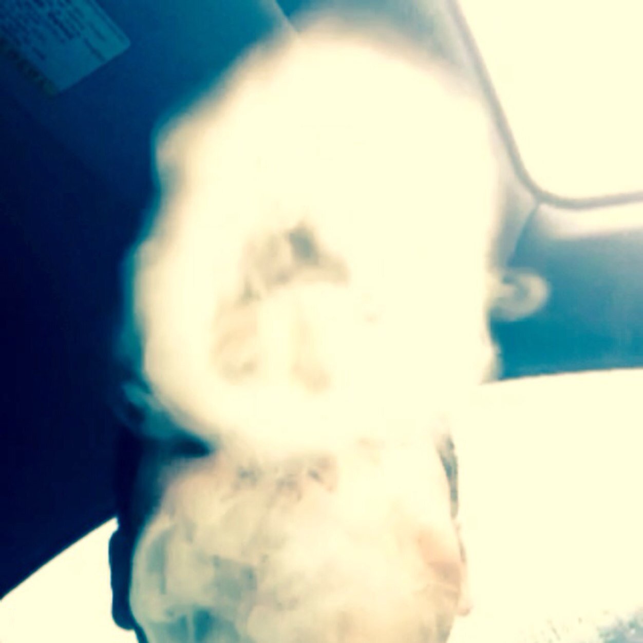 Just your average stoner. Just trying to find fellow stoners to toke up with #ECU17