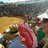Anabel96_m's profile image