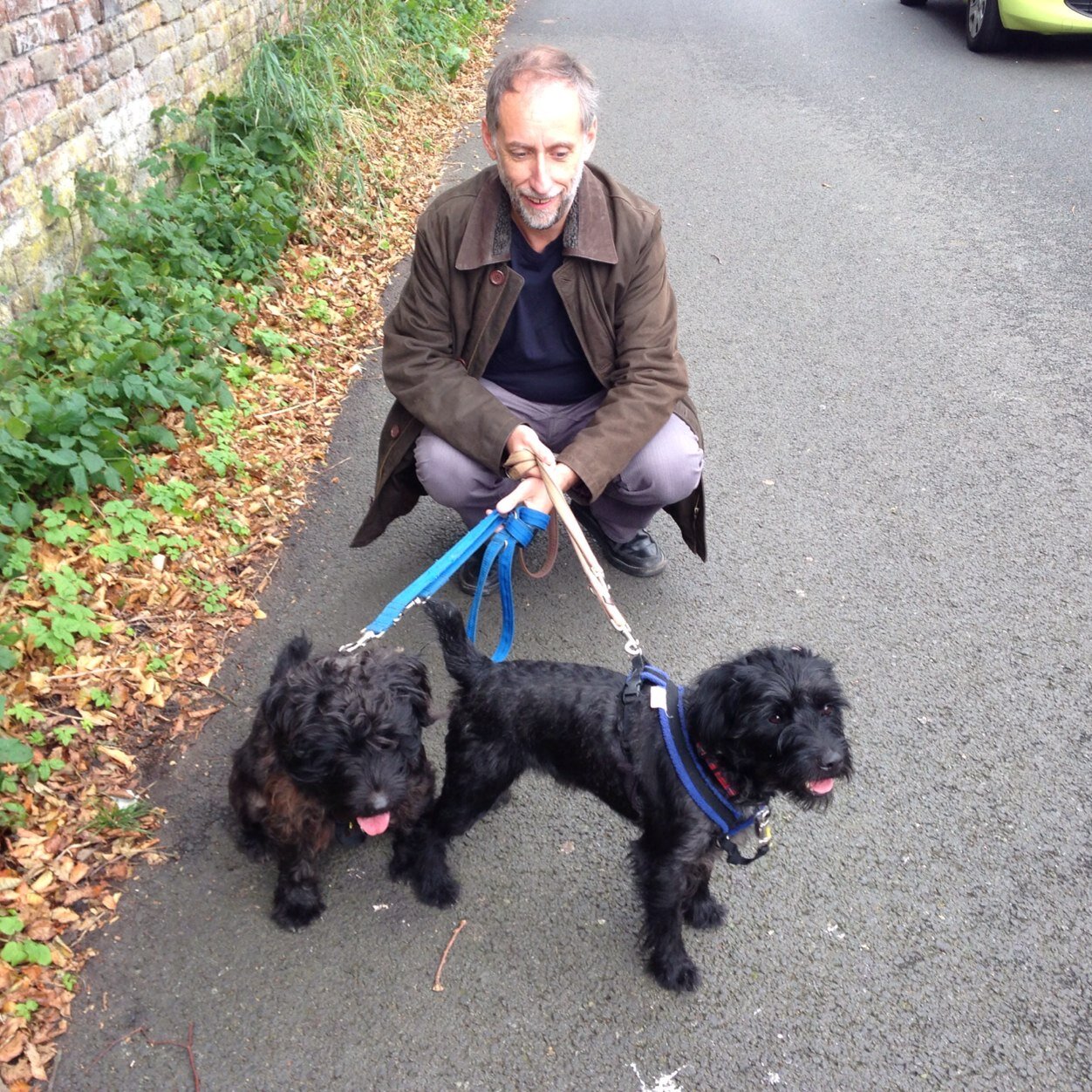 MolyneuxVefell's profile picture. 