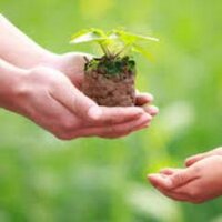 Eco Schools Frank Panabaker (@ecopanabaker) 's Twitter Profile