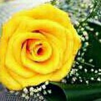 خدود الزهر (@romancilife) Twitter profile photo