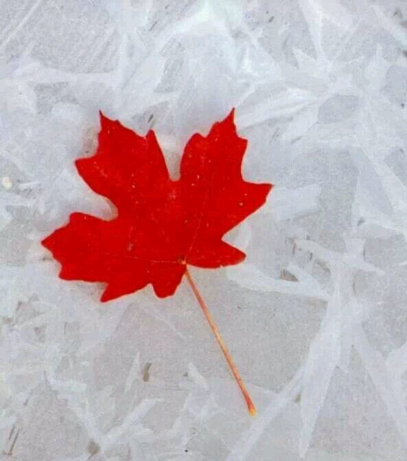 phil_1244's profile picture. 