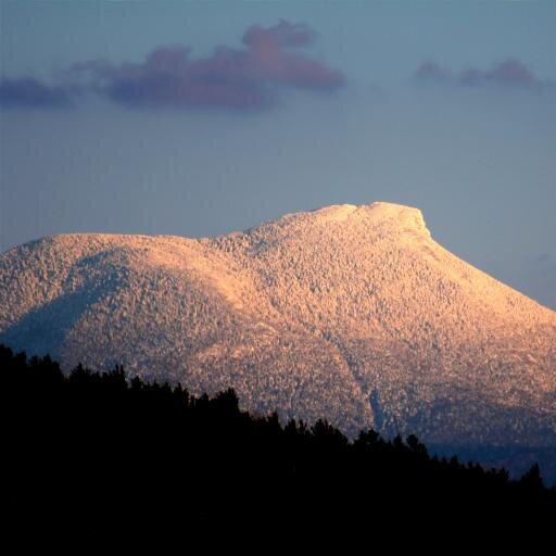 CamelsRump's profile picture. 