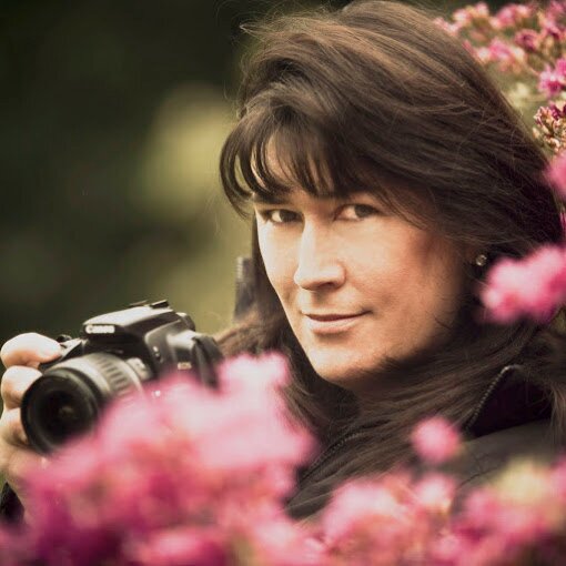 aritchiefoto's profile picture. New Plymouth (NZ) Photographer:  With a passion for creating the best of the best, your photography shoot will be relaxed and fun…