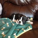 Ginny Clark - @G_Clark2 - Twitter