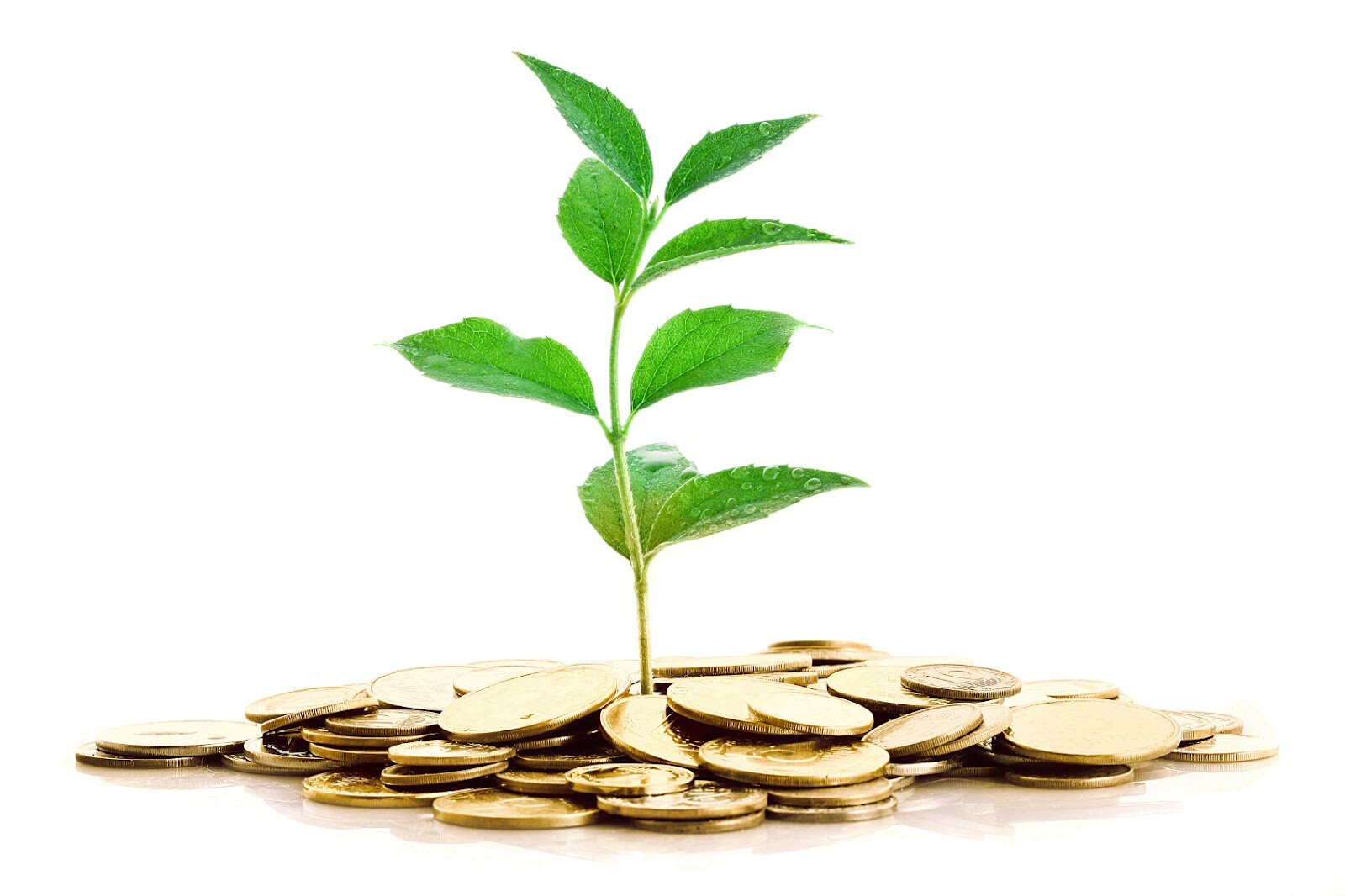 dollars AND sense is a personal finance blog helping make budgeting, saving, investing and increasing income more understandable and enjoyabe for everyone.