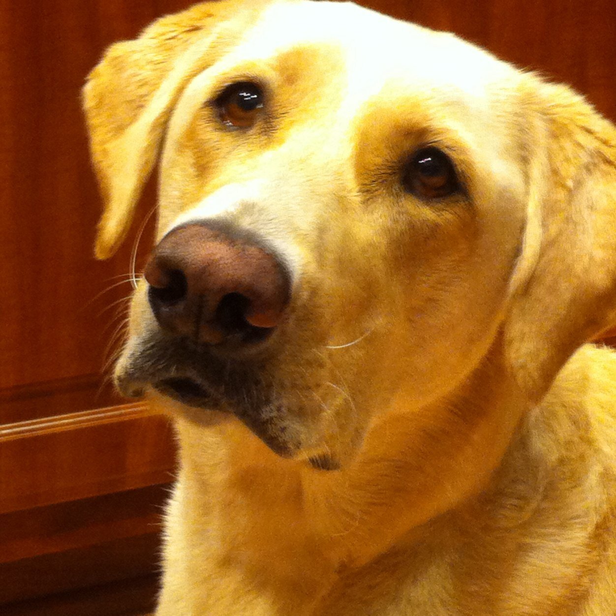 MelissaTupper1's profile picture. 