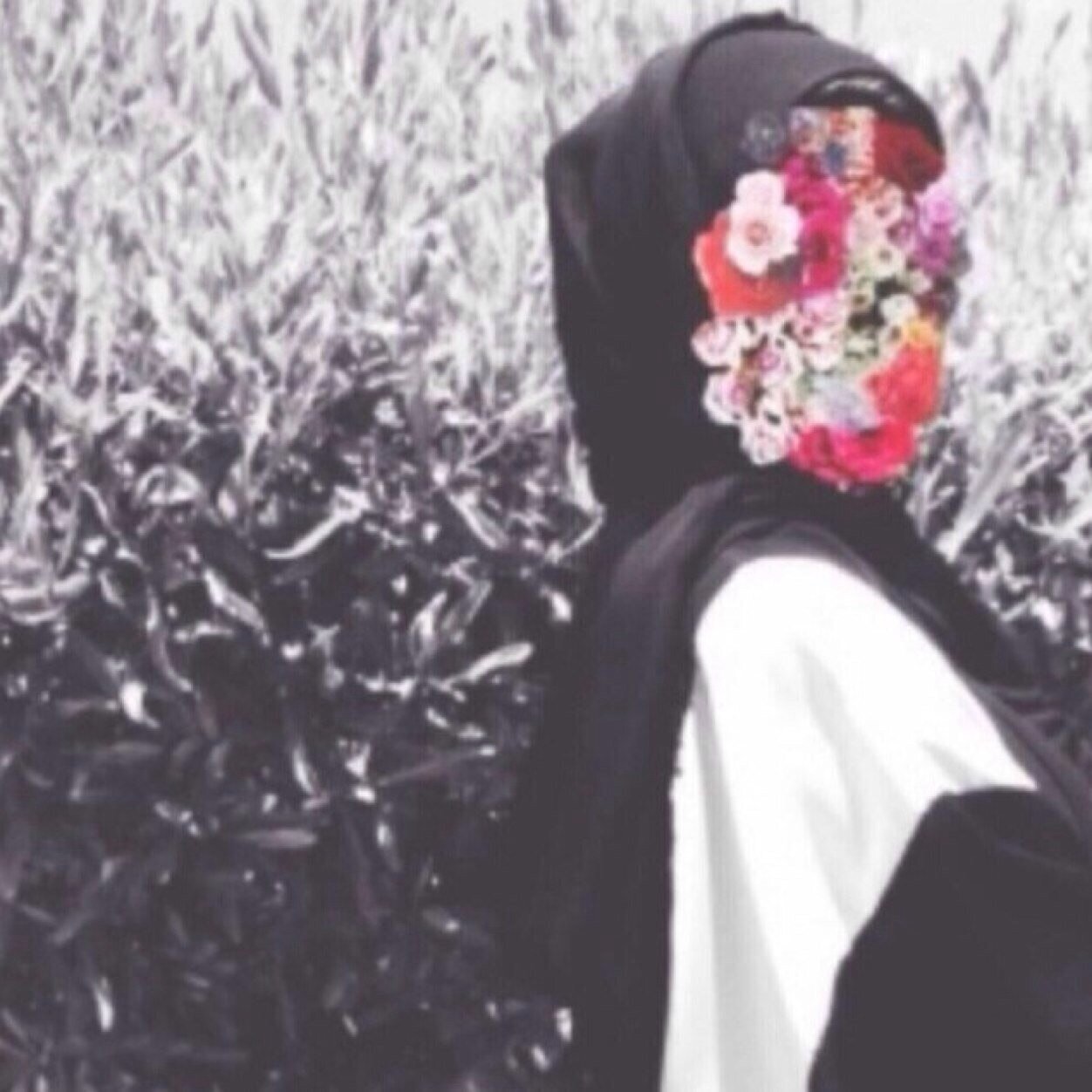 pMulook Profile Picture