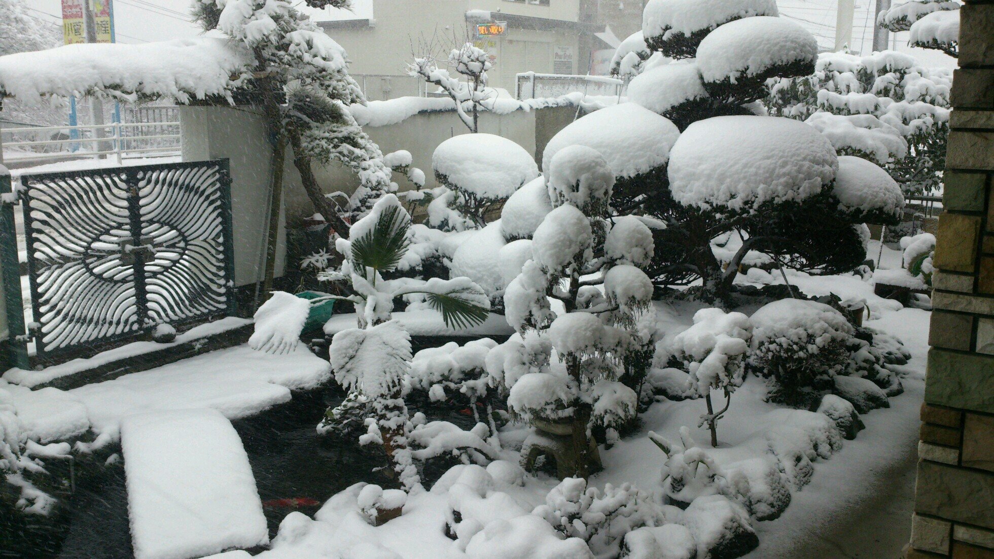 釣りだよ釣り！ RO復帰んぐ