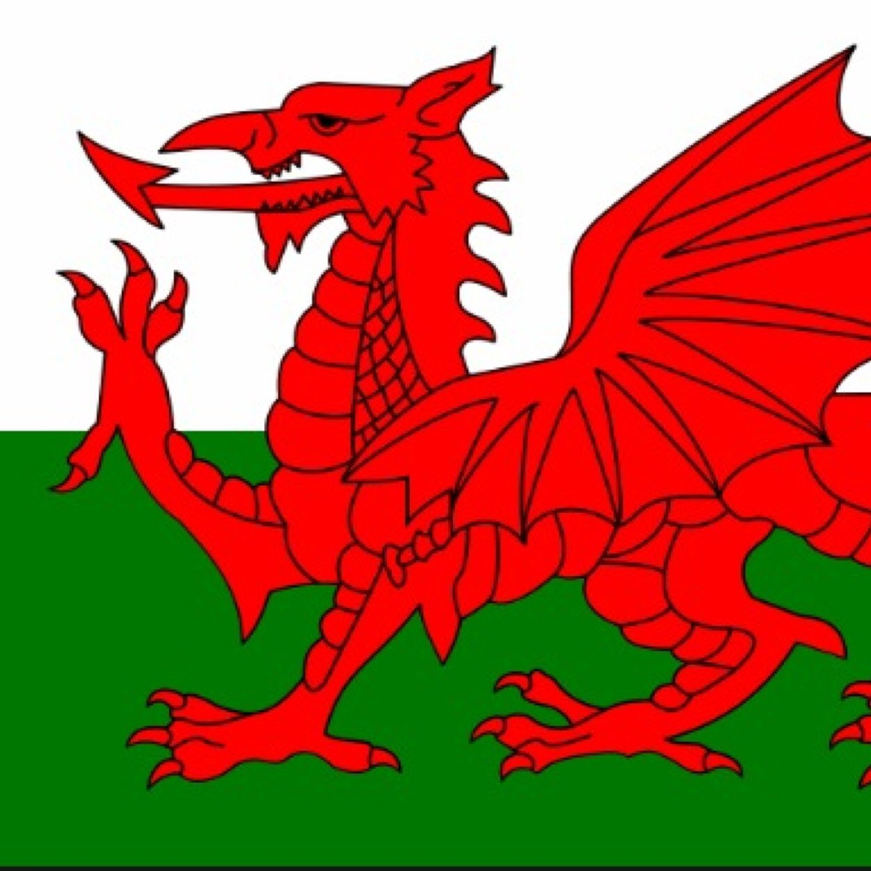 the ORIGINAL welsh problems account on twitter, est. march 2014