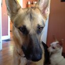 Sandra Marlin - @stocktrader69 - Twitter