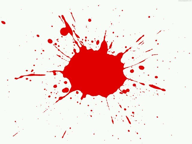 team red is the best at ndss!! support us and dress in red for gym riot!!!