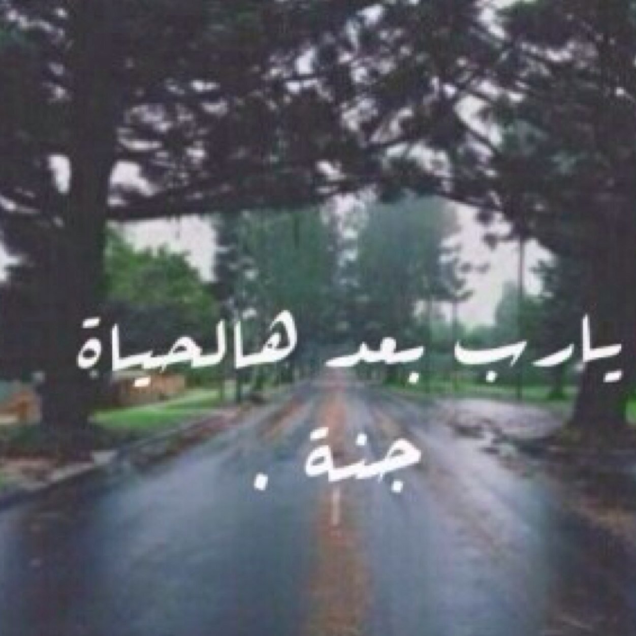 Looshi_22's profile picture. 