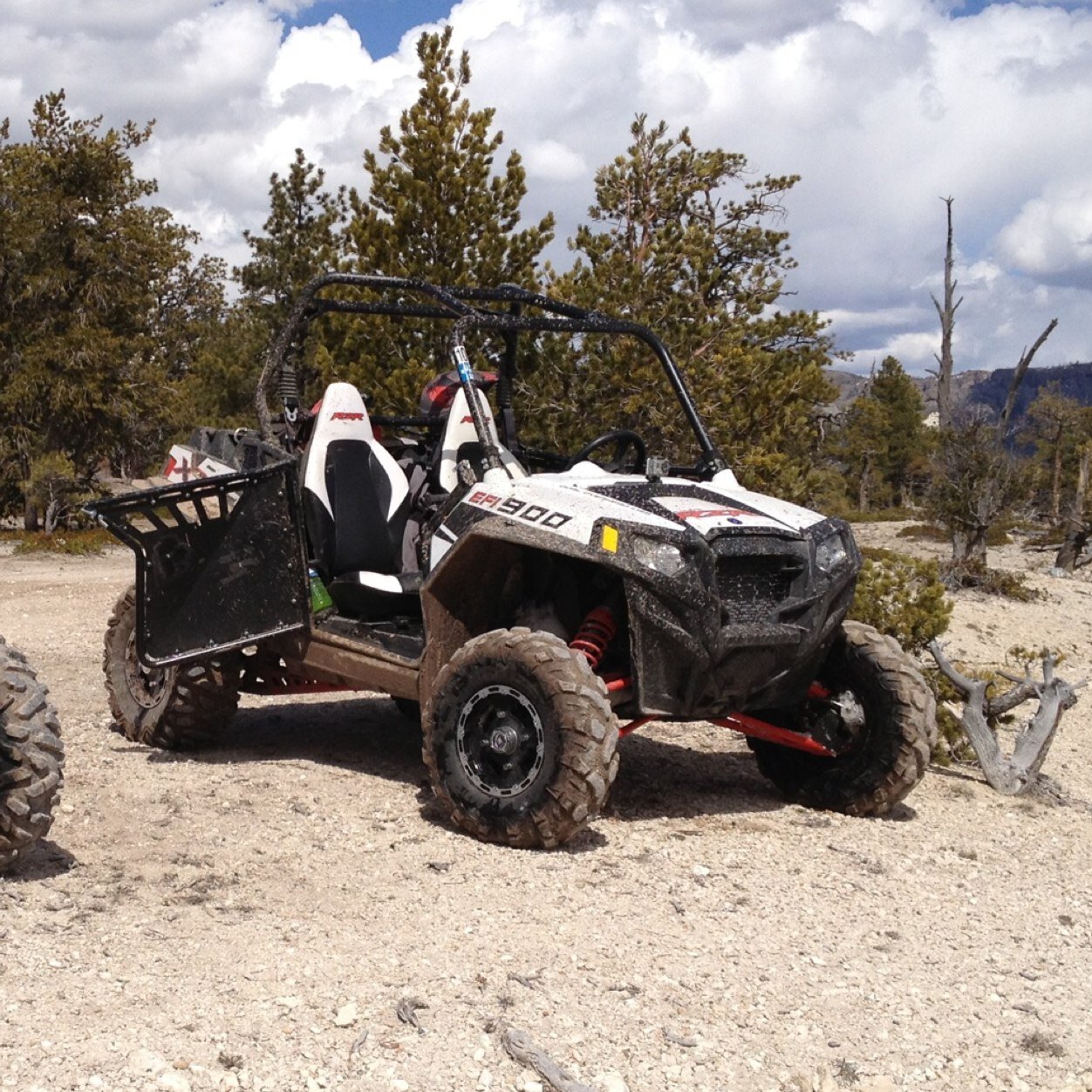 Rysport14's profile picture. 