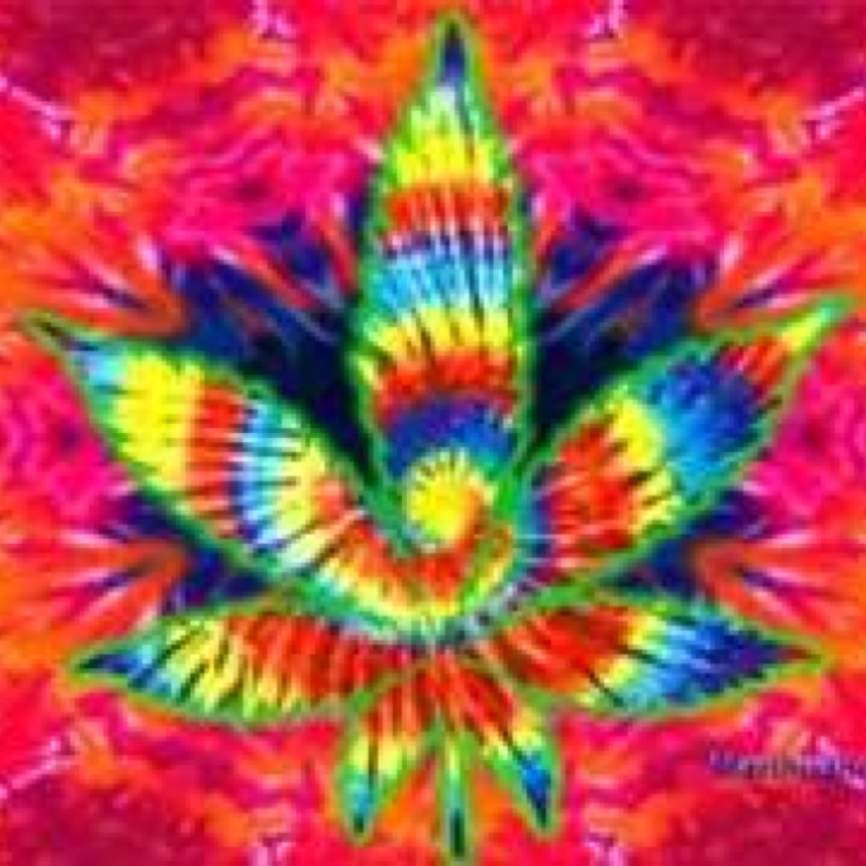 green_gazette's profile picture. Its the Modern Hippie Movement