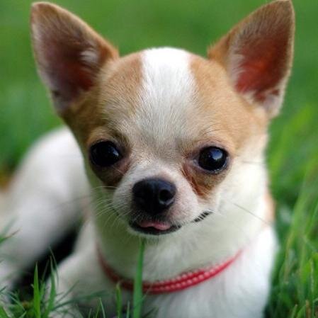Follow to see the cutest baby picture on Twitter!