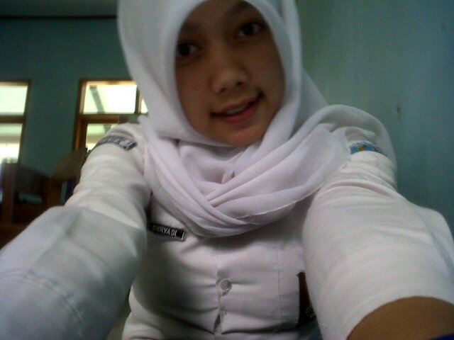 XI IPA 2