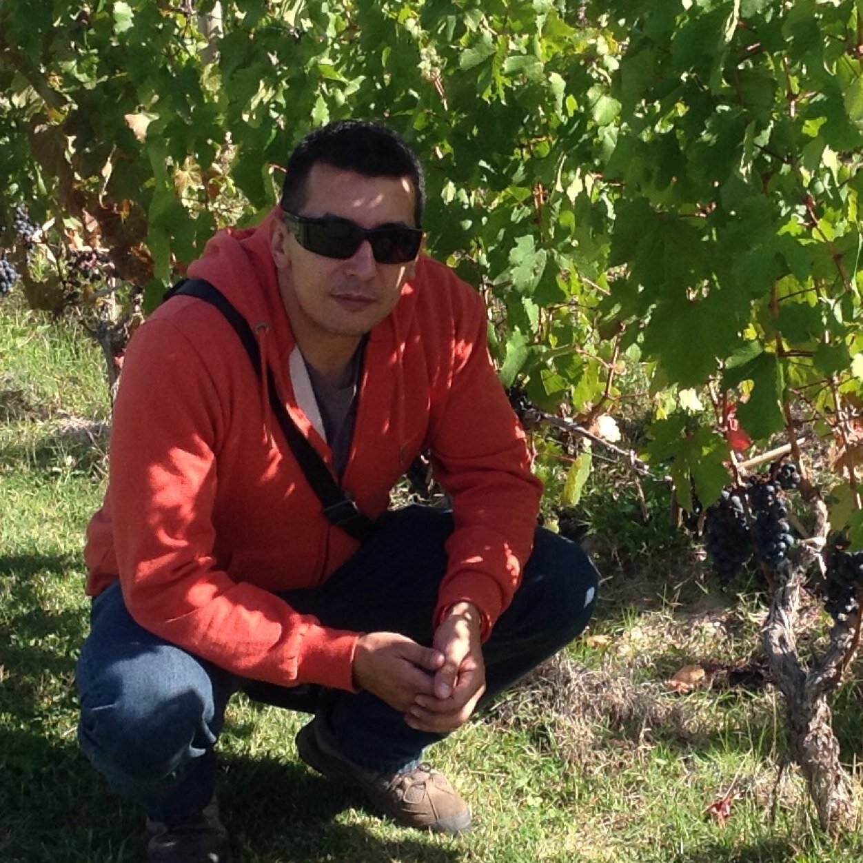 Director del Wine Institute salta/Sommelier/Formador Homologado del Vino de Jerez/WSET IHC Advanced/L'ecole du Vin Bordeaux/C.F.P.P.A Bourgogne/Sherry Educator