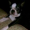 lynda_lucky's profile picture. 