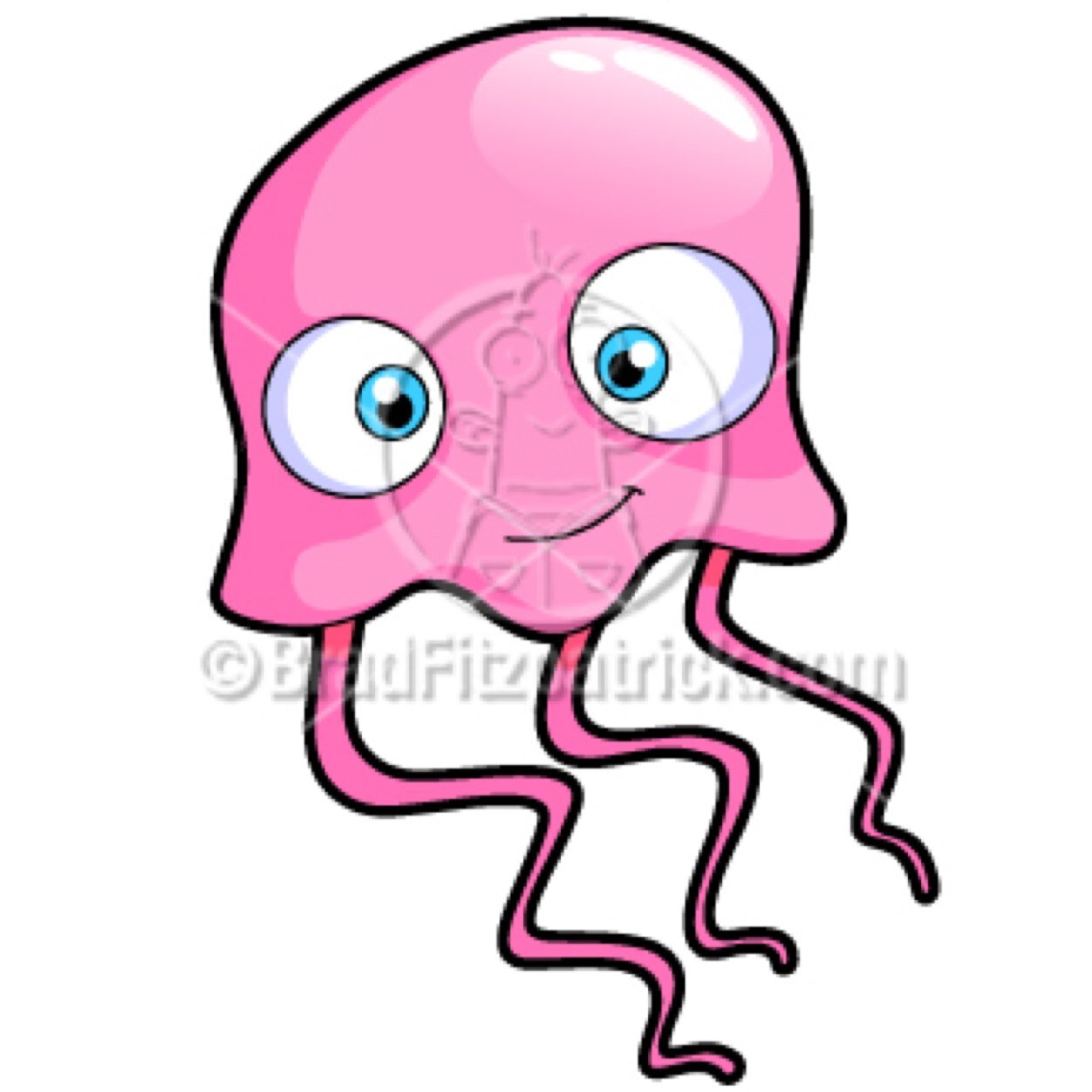 jelly and fish makes perfect sense