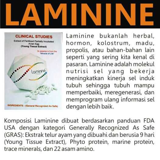 Agen Laminine Indonesia, Jual Laminine, Jual Laminine Jakarta, Testimoni Laminine, Jual Laminine Murah, Harga Obat Laminine, Hub 081286024302, Pin 73CDC79B