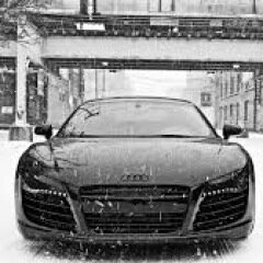 Daily pictures of Beautiful Audis