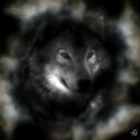 William Shephard - @shadowwolfgame5 - Twitter