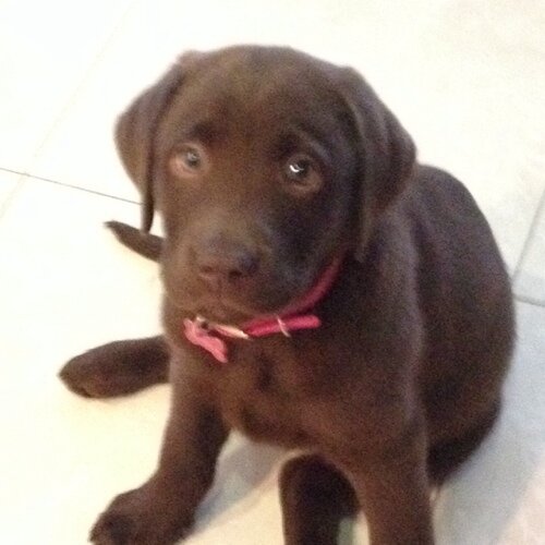 ValerieVvss's profile picture. 