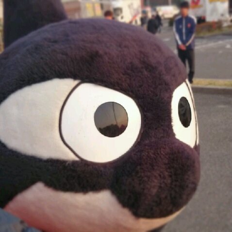 名古屋の人で略して『名人』です。
名古屋サポのしょんないの人、水戸に勝てると思いがち。
音楽フェスかサッカースタジアムに生息しています。