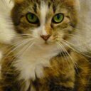 robin chartier - @robinchartier2 - Twitter