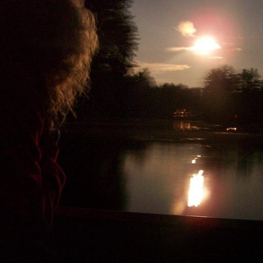 Hogna833's profile picture. Mostly landscapes and a bit of song lyrics essentially.