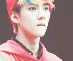 please follow @_yeolhun instead this acc bcs this is her followback . gumawo ♡