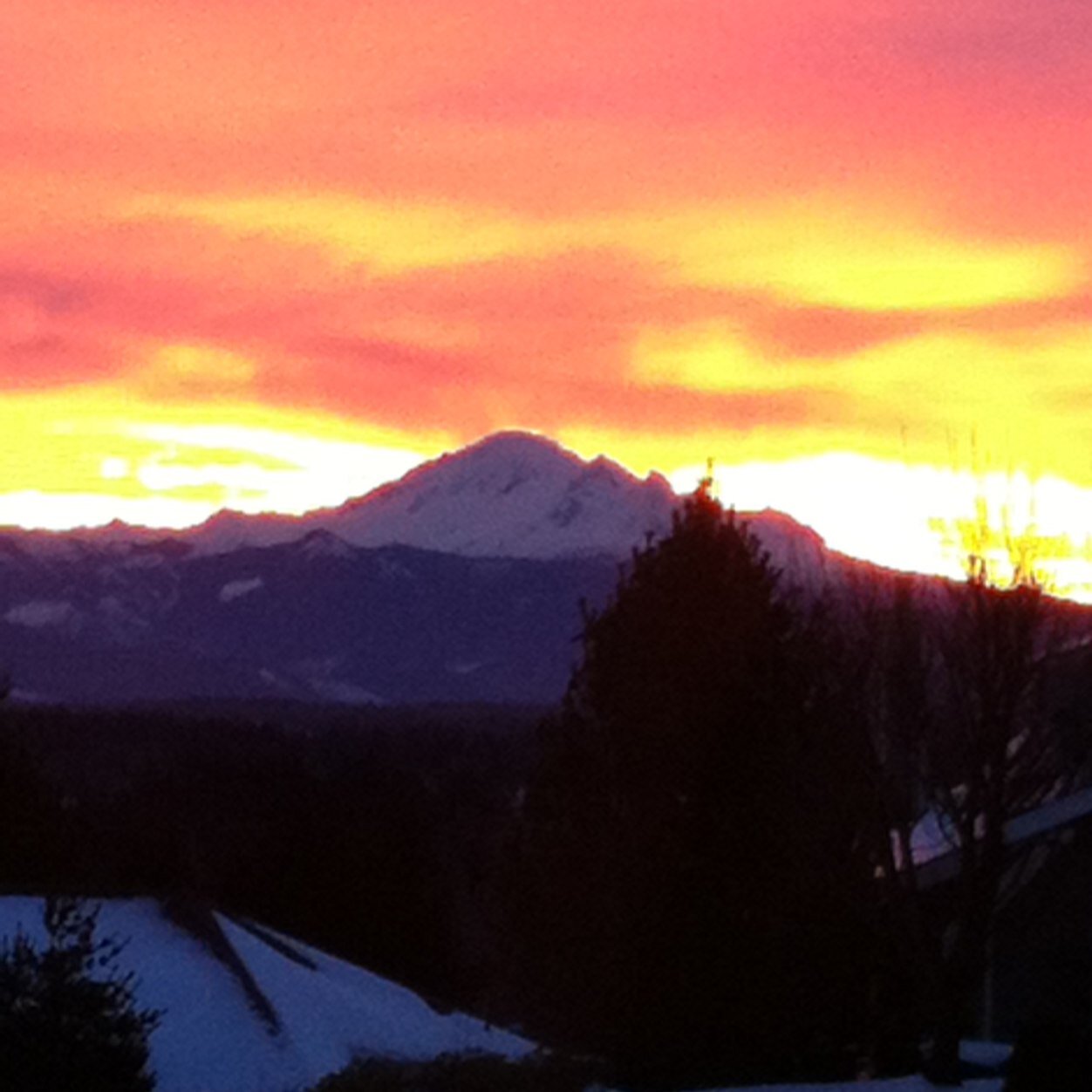 DurandaRae's profile picture. 