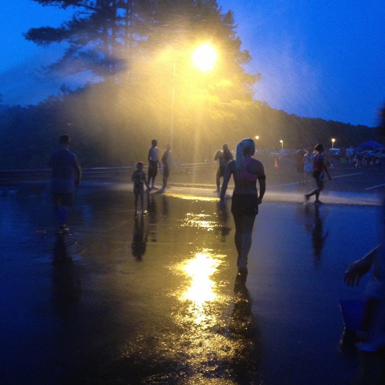 thatdamnightrun's profile picture. 