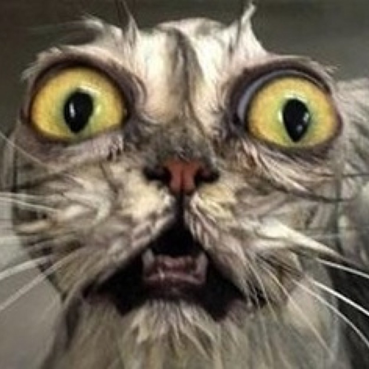 kyle_jaeschke's profile picture. 