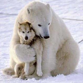 Ask Questions. Love Winter.