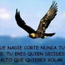 edith rabanal  - @edithrabanal - Twitter