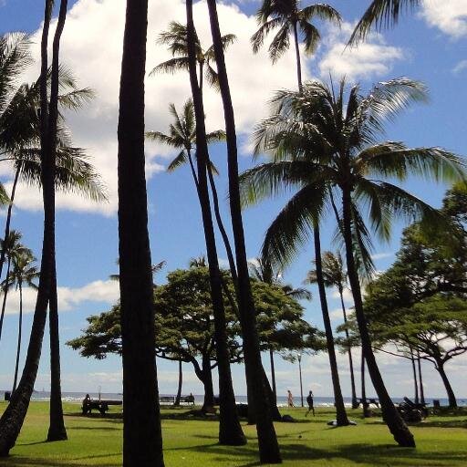 girls_bb's profile picture. 夏が大好きで千葉でボディボードやってます！年に２回は大好きなハワイへ！2014年2月からhawaii留学し帰国。英語の勉強続けてます。Tokyo2020 field cast.（サーフィン会場）オリンピックなどのスポーツ大会では#mitazo民となります。