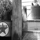 Sara Hiatt - @SaraHiatt - Twitter