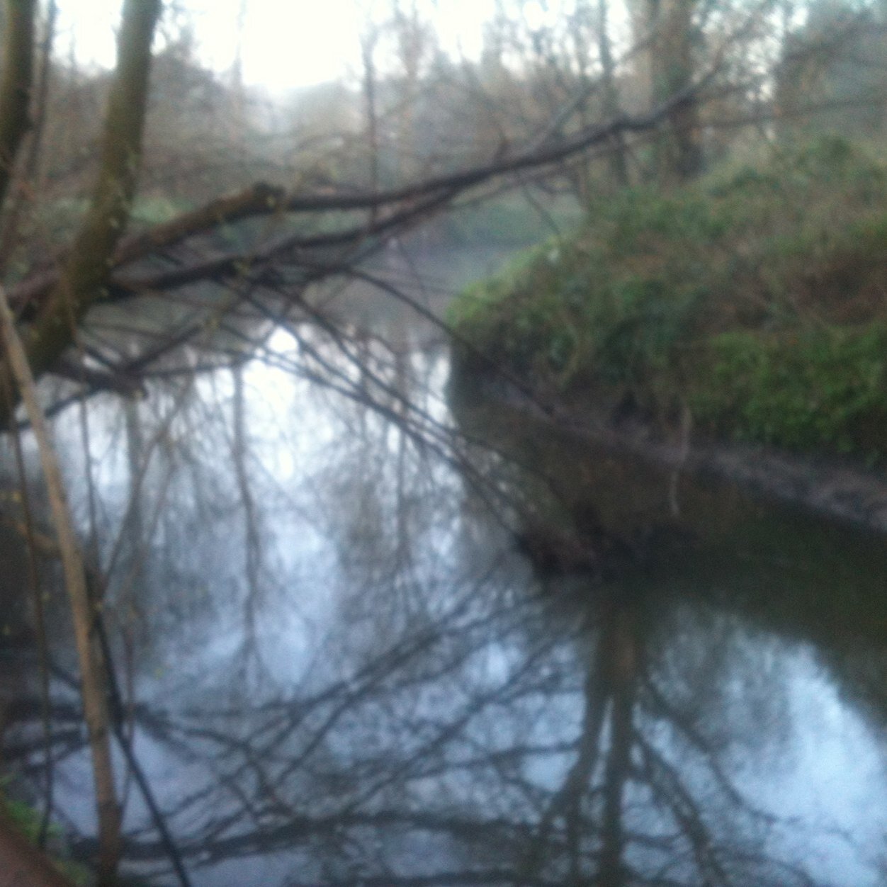 LadybrookSK8's profile picture. Help to make the Ladybrook Valley in Cheadle meet its potential for everyone to enjoy. An open forum to share opinions, ideas and appreciation of this gem.