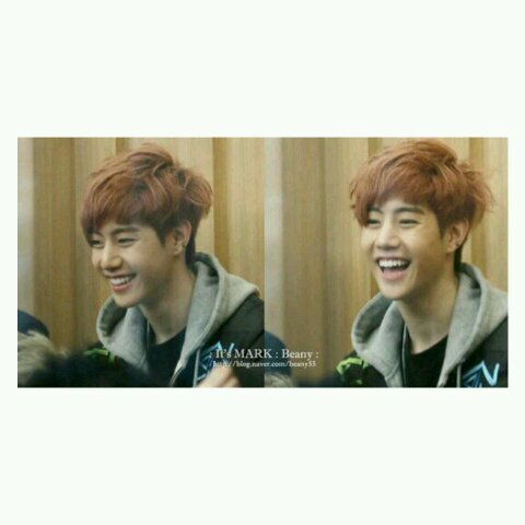 `เมม.เบอร์.ที่.สามารถ.บิน.ได้ ,,