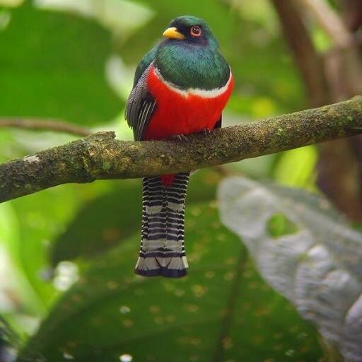 Nardkad's profile picture. The official Twitter account of Leonard Kadonzvo. Creating success and personal fulfillment.