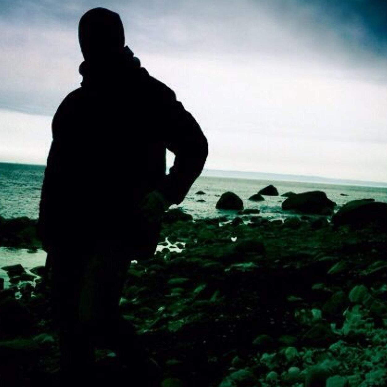 realfreeder's profile picture. progressiver humanist