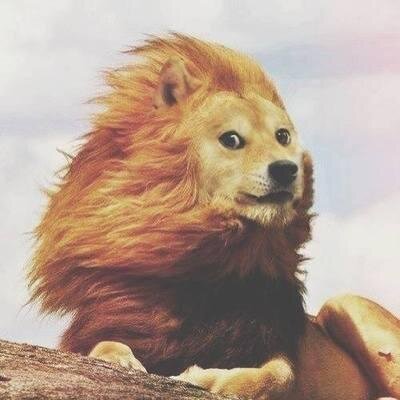 Rocket ship captain, much 3, so wow. https://t.co/ZhTTAE1aaZ