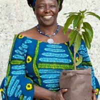 Wangari Maathai (@wangari_mathai) 's Twitter Profile